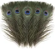 Natural Peacock Feathers Bulk - 40Pcs 10-12 Inches Feathers for DIY Crafts, Wedd