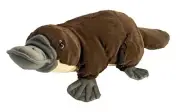 Plush Platypus Plush Toy Stuffed animal