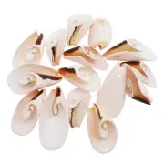 10 pcs Polished Conch Tail Sliced Shells For Crafts DIY Nautical Decor 3-5 cm