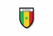 PATCH PATCHES EMBLEM IRON ON GLUE PRINT FLAG world crest senegal