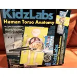 KIDS LAB HUMAN TORSO 人體器官拼圖