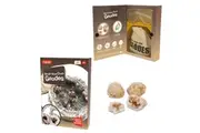 Magnoidz Break Your Own Science DIY Geodes Crystal Kit Kids Children Toy 6y+