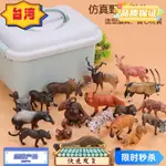 台灣熱賣 實心野生動物模型 仿真動物模型套裝 動物玩具白虎雄獅獵豹黑豹白尾鹿駝鹿猩猩 塑膠模型玩具擺件 兒童早教認知禮物