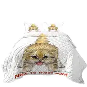 Funny Cats Aggressive Kitten Coverlet
