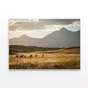 Group of Animals in a Field Print 100% Australian Made 150 x 100cm (Stretched)