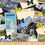 Sykel Enterprises NCAA Michigan Wolverines Scenic Postcard Cotton Multi Fabric