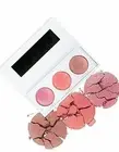 RealHer Everyday BLUSH KIT- Shimmers Bronzer Highlighting Cheek Color...
