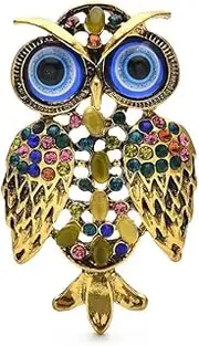 [BBirtyQV] Vintage Big Eyes Owl Brooches For Women Men Rhinestone Beautiful Bird Party Casual Brooch Pins, Metal Zinc Acrylic, Metal Zinc Acrylic
