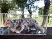 SILVER the Cat Beanie Baby**ERRORS** RARE 1999 -RETIRED- (NEW)