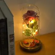 Preserved Rose Flower LED Light Glass Cover Wooden Base Valentines Day Wedding Pink (Purple)