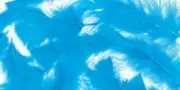 Turkey Plumage Feathers .5oz Dark Turquoise