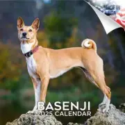 BASENJI Wall Calendar 2025 DOG Animal PET Lover Gift