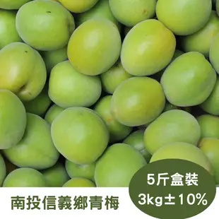 【RealShop 真食材本舖】南投信義鄉青梅 約5斤/3kg±10%盒裝