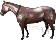 Stc Nylon Horse Breeding Hobbles