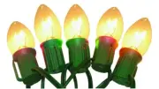 Celebrations C42G4111 Clear Incandescent Outdoor Light Set 25 ft.