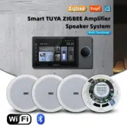 HiFi Amplifier Music Panel Support Ceiling Speaker Home Audio System 8inch 25W
