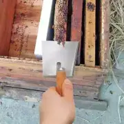 1PC Beekeeping Pollen Shovel Clean Honey Extractor Flat Hive Clean Scraper