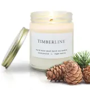 Wax & Wane Timberline Pine Modern 8Oz Handmade Candle for Men and Women - Long B