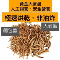 在飛比找蝦皮購物優惠-「動力水族」乾燥麵包蟲 麵包蟲乾 大麥蟲乾 蠅蛆 南極蝦乾 