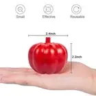 Fruit Fly and Fungus Gnat Sticky Catcher Insect Trap for Indoor Outdoor B