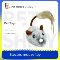 在飛比找松果購物優惠-貓咪自嗨解悶小老鼠電動逗貓球玩具滿足貓咪玩樂需求 (1.7折