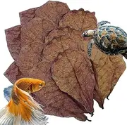 Betta Shrimp Leaves | Natural Almond Leaves for Betta Fish | PH Balancer for Aquariums, Turtle Tanks, and Fish Habitats | Ideal for Turtles, Shrimps, Catfish, and Frogs Almond Leaves for Betta Fish |
