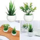 Plants Fake Flowers Artificial Aloe Plants Bonsai Office Table Potted Ornaments