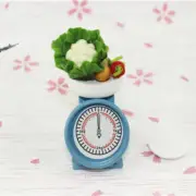 Dollhouse 1:12 Scale Scale Platform Weigh Store Supermarket Miniatures Decorate