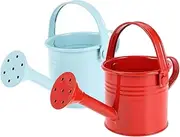 Housoutil Small Metal Watering Can: 2pcs Iron Metal Flower Watering Pot Plant Mister with Long Spout Iron Flower Pot for Kids Seedlings Plant Garden Tool (Red and Light Blue)