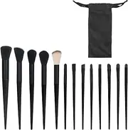 Bagentry 13 Pcs Professional Makeup Brushes Set with Bag, Complete Function Portable Make Up Brushes, Foundation Powder Concealers Eye Shadows Lip Cosmetic Brushes for Enthusiasts (Black)