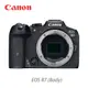 Canon EOS R7 BODY 單機身 公司貨