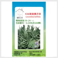 在飛比找momo購物網優惠-【蔬菜工坊】K36.寬葉薰衣草種子(0.24克-約200顆)