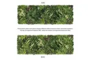 YES4HOMES 3 SQM Artificial Plant Wall Grass Panels Vertical Garden Foliage Tile Fence 1X1M