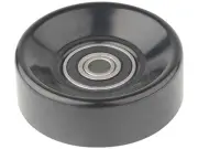 19RT54N Accessory Belt Idler Pulley Fits Ford E250 Econoline Club Wagon (for: Ford)