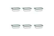 6PK Ecology Store Rectangle Clear Glass Food Storage Container 640ml Eucalyptus