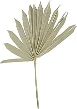 ABOOFAN Palm Leaf Palm Leaves Decor Tropical Leaf Decor Decorations Wall Garland Palms Indoor Palm Tree Leaves Faux Style Mounted Hanging Wedding Decor Dried Flowers Green