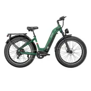 [EU DIRECT] OVIVO HYPER V6 PRO Electric Bike 48V 20Ah Battery 250W Motor 26inch Tires 120-150KM Mileage Range 100KG Max
