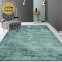 在飛比找蝦皮商城精選優惠-『素色滿鋪大地毯⚡10色可選閃電發貨』北歐ins素色客廳地毯