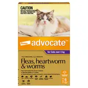 Advocate Flea, Heartworm and Worm Pipette Purple For Large Cat