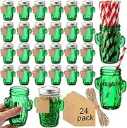 Maxcheck 24 Pack Cactus Mason Jars Shot Glasses 3 Oz Mini Shot Glasses With Silver Lids and Straw Glass Cactus Decor Favor Jars for Weddings, Decoration Parties DIY Drink Dessert Candle Craft
