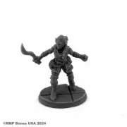 07123 - Emrul Gozgul, Half Orc Rogue