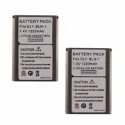 BATTERY x 2 for OLYMPUS BLN-1 OM-D E-M5 PEN E-P5 HLD-6 Camera TWO BATTERIES