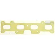 Platinum Extractor Gasket - HSM315