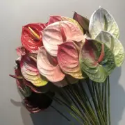 Artificial Anthurium Palm Flower Plastic Fake Plant Wedding Party Home Decor
