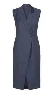 BOSS Delibea Sleeveless Button Front Dress in Virgin Wool - Size 4 / 26