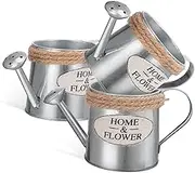 Luxshiny 3pcs Tin Vase Vintage Watering Can Dollhouse Watering Can Decorative Pot Plant Watering Pot Rustic Watering Can Vase Decoration Watering Kettle Tin Pitcher Vase Wrought Iron
