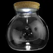 DIY Micro Landscape Glass Bottle with LED Light Creative Fish Tank Container for Home Decoration for Living Office and Transparent Design for Easy
