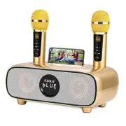Karaoke Machine for Adults and Kids,Portable Bluetooth 2 Wireless Karaoke