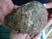 (DF845-6) 4lb Fossil REAL DINOSAUR POOP Coprolite Dino Valley Utah DUNG Poo Scat