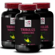 Tribulus extract benefits - TRIBULUS TERRESTRIS EXTRACT - Tribulus Terrestris 3B